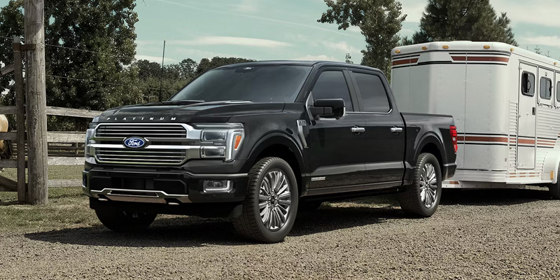 Black Ford F-150 Platinum towing a white horse trailer on a gravel driveway with trees in the background.