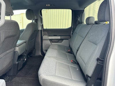 2025 Ford F-150 XLT 4WD SuperCrew Box