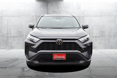 2025 Toyota RAV4 XLE AWD