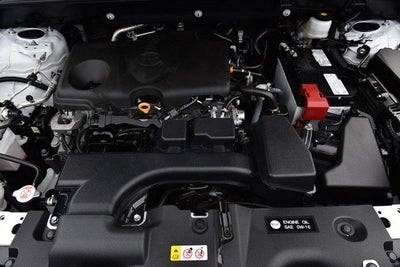 2025 Toyota RAV4 XLE AWD [MotorTrend Certified]