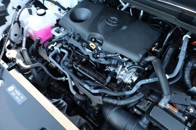 2025 Toyota Sienna LE AWD Plus Package [8 Passenger]