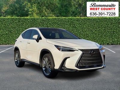 2022 Lexus NX NX 350h Luxury AWD