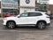 2026 Volkswagen Tiguan 2.0T SE 4MOTION