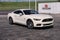 2015 Ford Mustang GT 50 Years Limited Edition