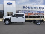 2026 Ford Chassis Cab F-550® XLT