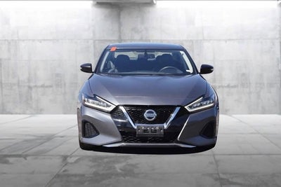 2019 Nissan Maxima SV